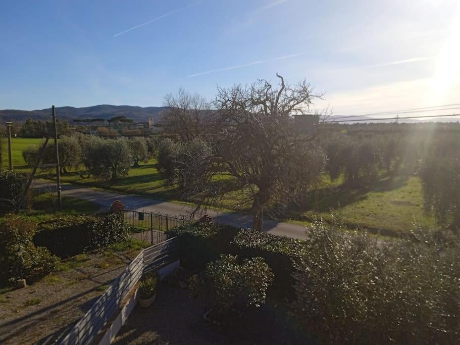 Casa Vacanze Il Pero Marsiliana Zewnętrze zdjęcie